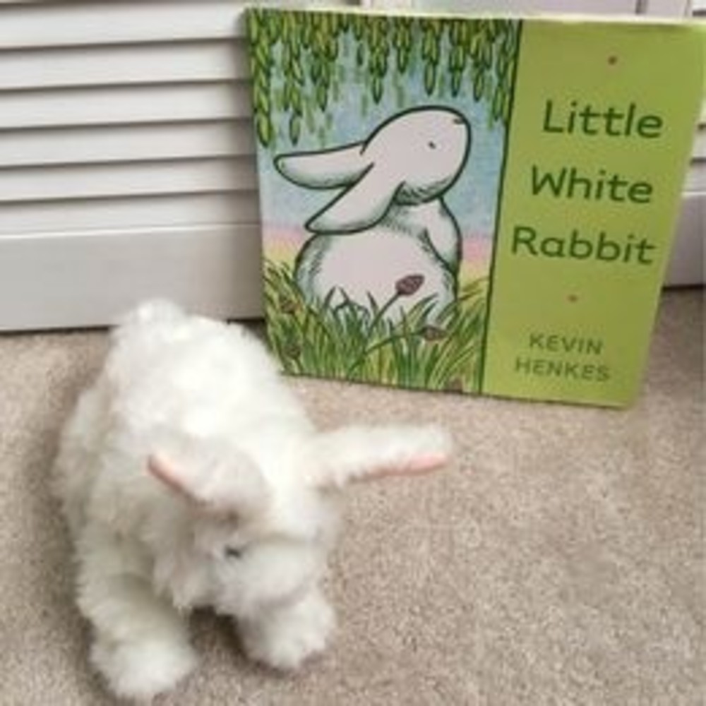 Fur real bunny rabbit white with Kevin henkes book